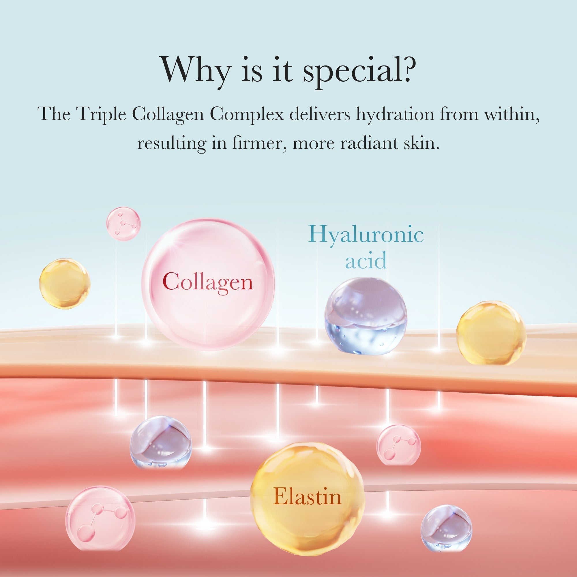 Triple Collagen Cream - Hydration Routine