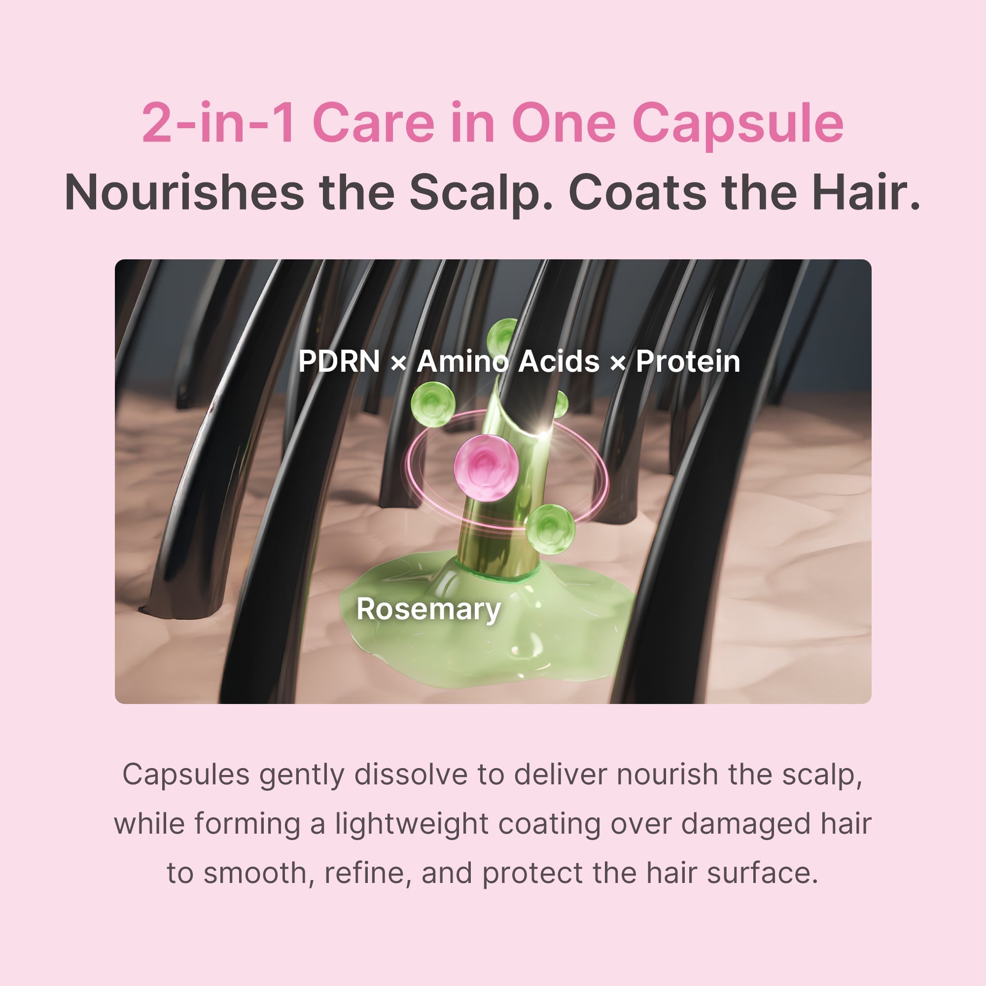 Rosemary PDRN Hair & Scalp Conditioner - Fresh Skin Favorites
